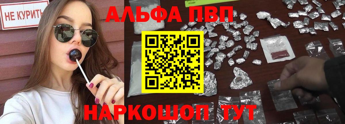 Альфа ПВП СК Кириши