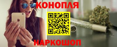 крисы Краснодар