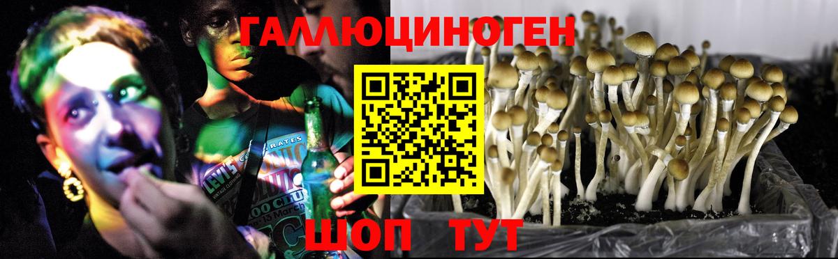 Псилоцибиновые грибы GOLDEN TEACHER  Псилоцибиновые грибы ЛСД  Кириши  Вход с VPN 